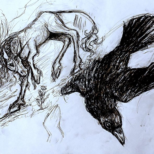 Crow and unicorn pencil sketch