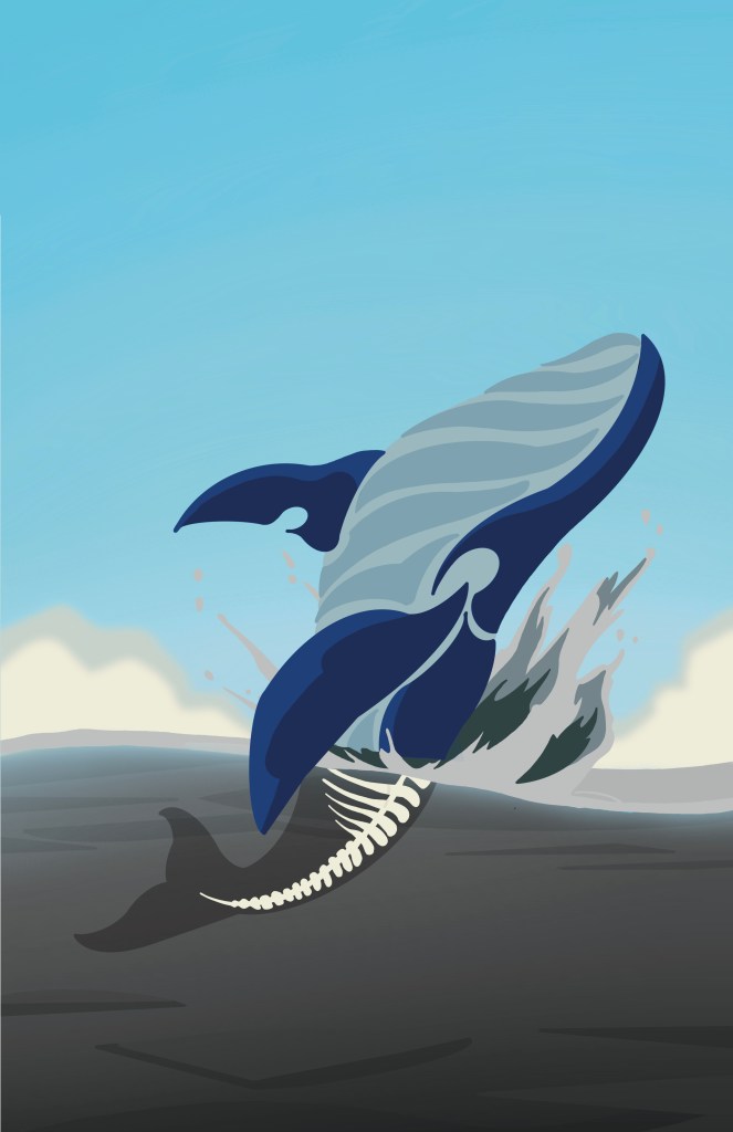 whale