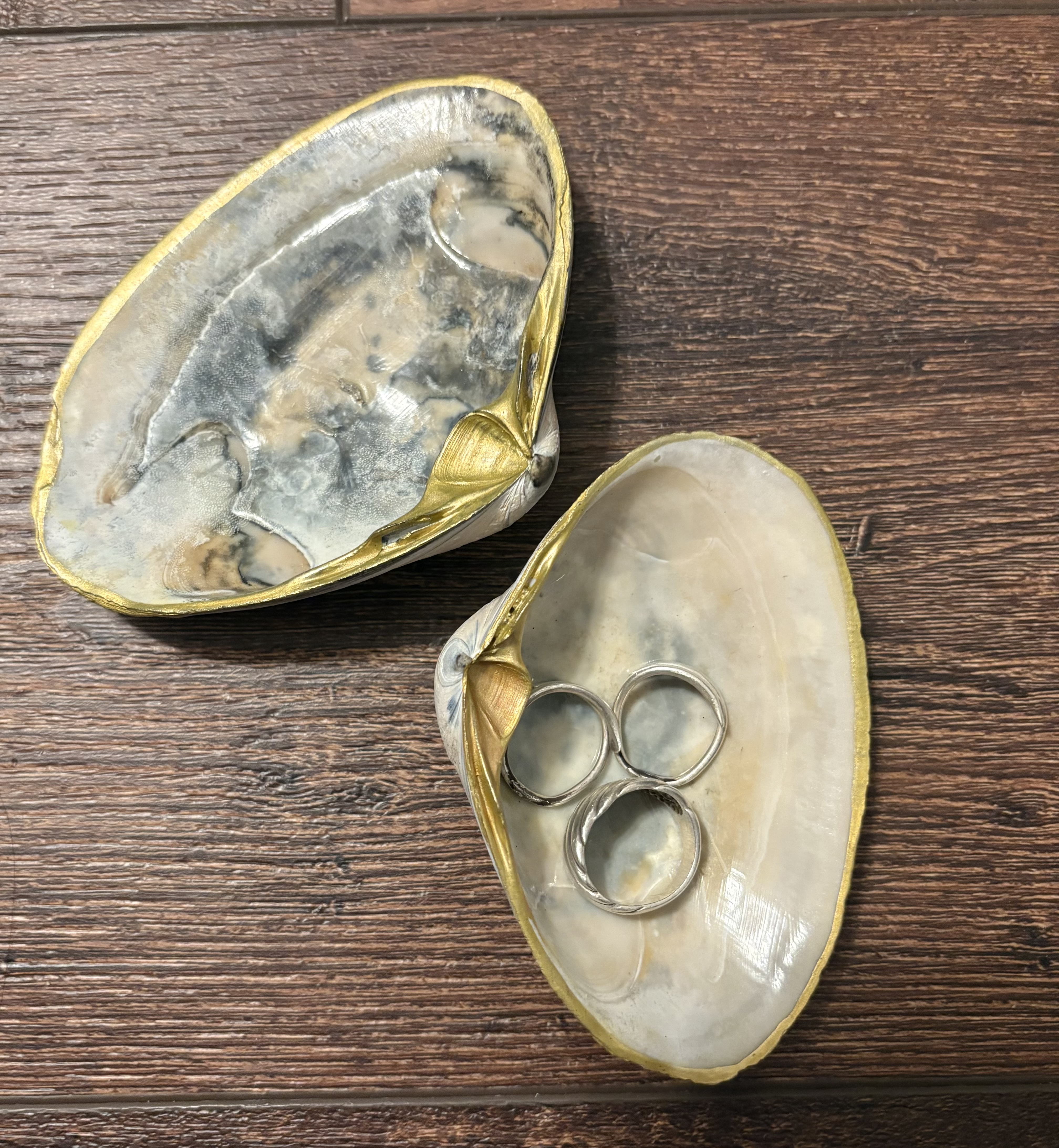 Shells For Shell Painting Shell Painting