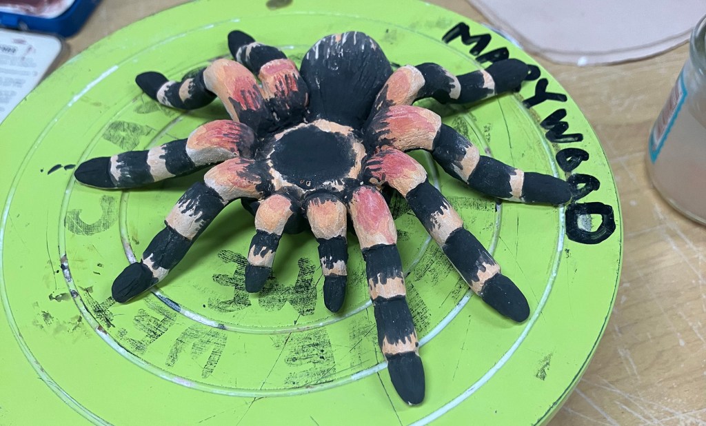 featured image for blog marissa s