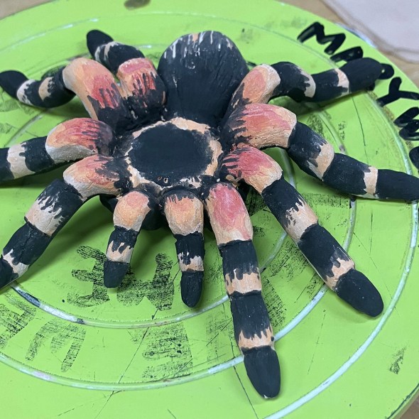 featured image for blog marissa s