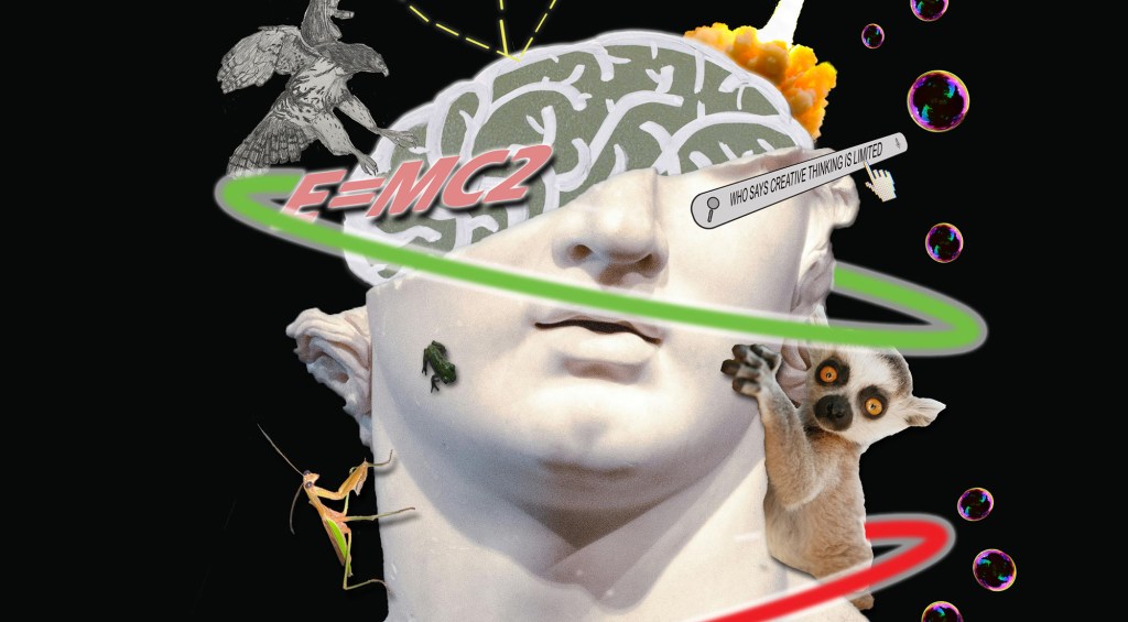 Fenescey - Featured Image (It Gives You Freedom)