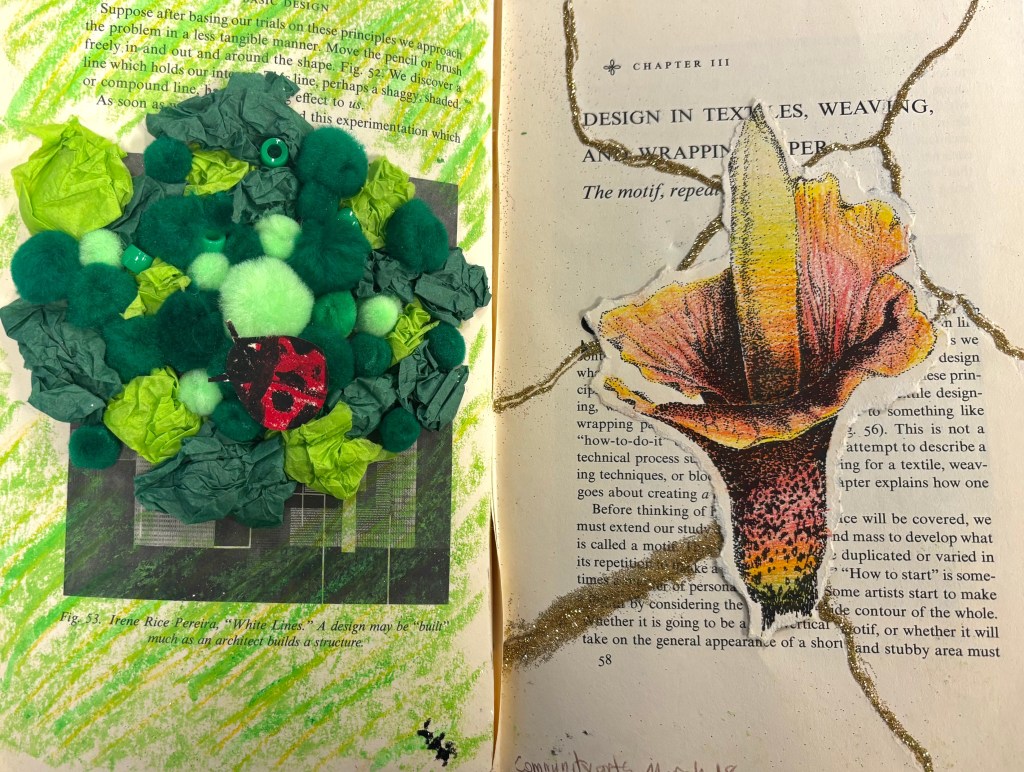 Camila Castellari, art reflection from exhibitions observed 